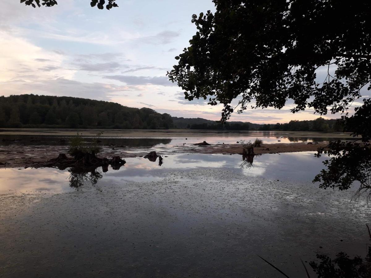 La Maison Du Colombophile Neuville-sur-Ailette Exteriér fotografie